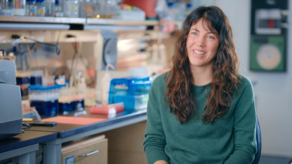 Foundation Documentary Film